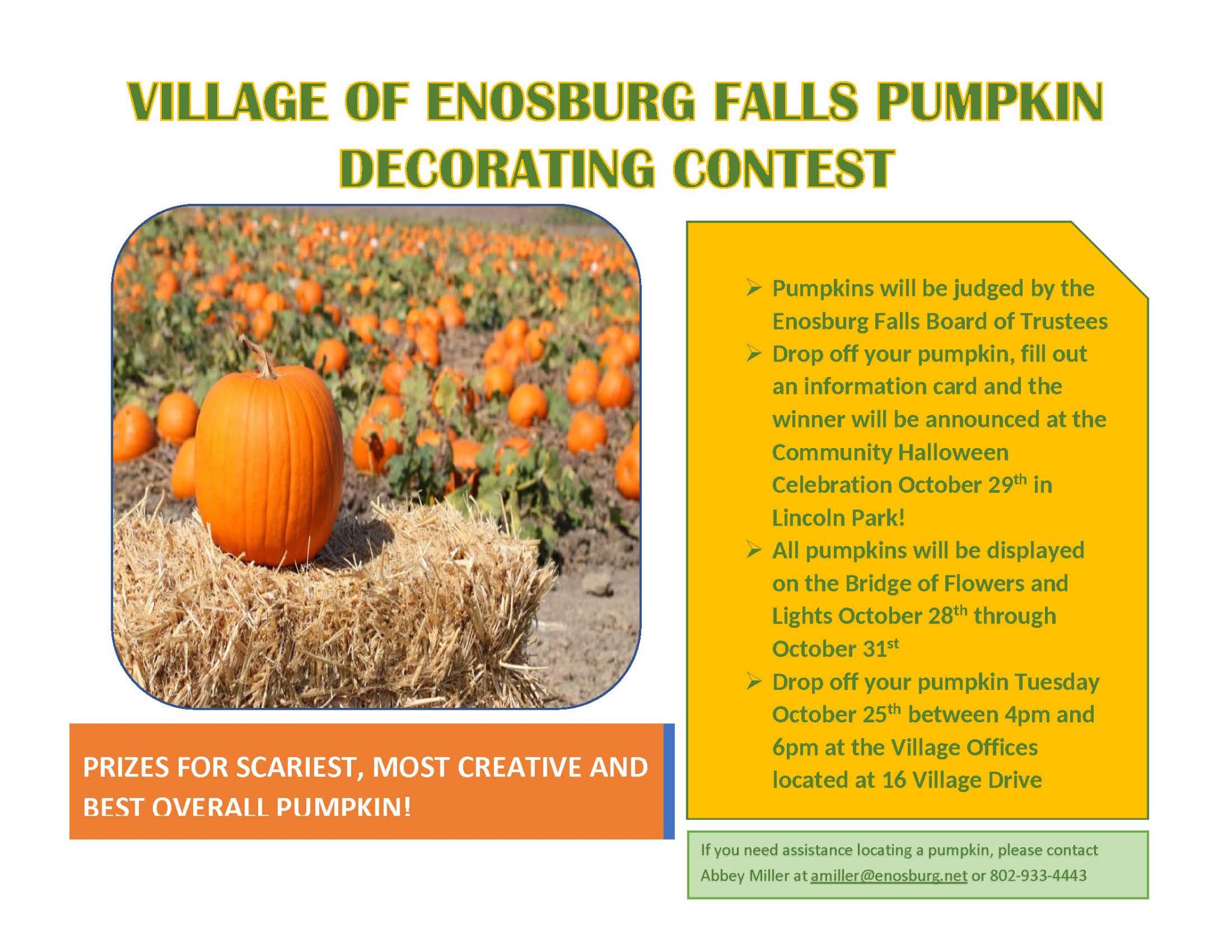 Village of Enosburg Falls Your regional center for western Franklin